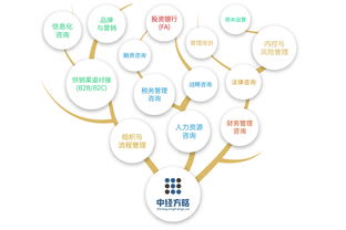中經方略以 1 1 2推拉式戰略模型 創新咨詢服務
