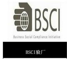 供應(yīng)東莞bsci驗(yàn)廠(chǎng)咨詢(xún)產(chǎn)品大圖 oas企業(yè)管理認(rèn)證咨詢(xún)機(jī)構(gòu)