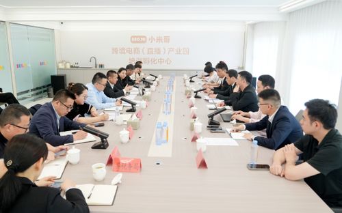 吳呈錢專題調(diào)研跨境電商高質(zhì)量發(fā)展工作